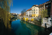 Banks of Ljubljanica River