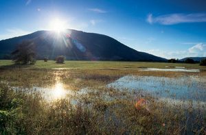 Le lac Cerkniško jezero