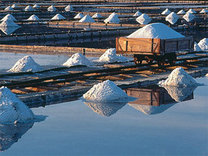 Salt Pans