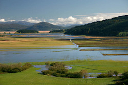 Lac de Cerknica