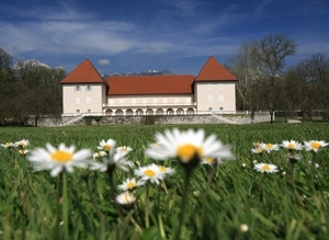 zunanja povezava