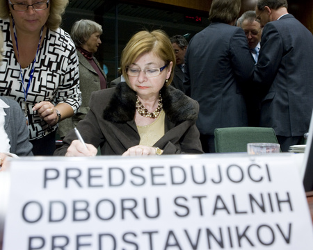 Slovenian minister of labour, family and social affairs Marjeta Cotman