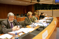 Slovenian Minister of Health Zofija Mazej Kukovič in front of the Environment, Public Health and Food Safety committee of the European Parliament