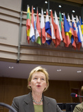 Slovenian Minister of Health Zofija Mazej Kukovič in front of the ENVI committee of the European Parliament