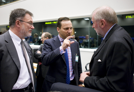 Lithuanian Minister of Foreign Affairs Petras Vaitiekunas (L), his Polish counterpart Radoslaw Sikorski (C) and Slovenian Minister of Foreign Affairs, President of the Council Dimitrij Rupel (R)