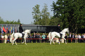 Before the formal meeting at Brdo pri Kranju, the Ministers and delegates visited a ‘Lipizzaner Ballet’ performance.