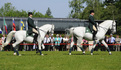 Presentation of the Lipizzaner horses