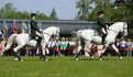 Présentation des chevaux de race lipizzane